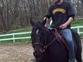 riding-lessons.html