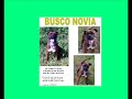 busco novia