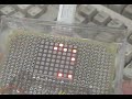 LED GAME \ LED GAME \