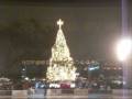 videos de Bryan Park Christmas Tree Lighting 2008