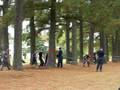 videos de Skills Demo 4b