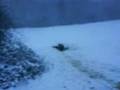 luge à Arreux
