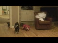 video 016.mpg