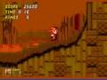 Sonic2 Hack Sonic from hell!