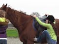 Hoe stap je op op een paard van 1.70m?