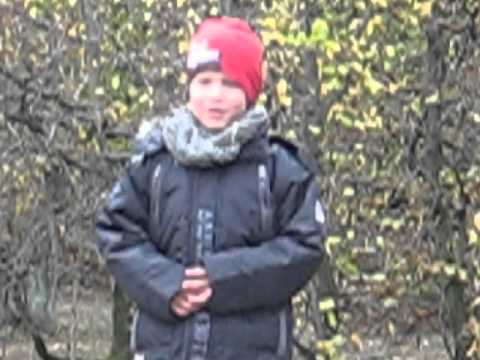 See video