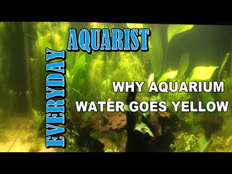 how to dissolve organic compounds in water
