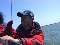 Segeln auf dem Ijsselmeer! Polska!