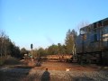 833) CSXT Q65005...