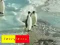 PiNgUiNo BaStArDo