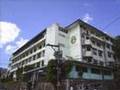 Victor S. Dominguez: THE VICTOR OF THE CORDILLERAS