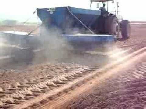 Wolf Seeds Green Fertilization