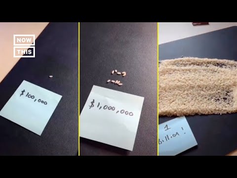 Viral TikTok Uses Rice to Show How Rich Jeff Bezos Is | NowThis