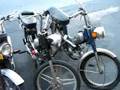 Mother Load of Mopeds