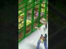 The Sims 2 seaons