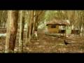 Angan - Angan (Dreams)