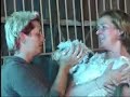Aankomst Herwijnen met honden