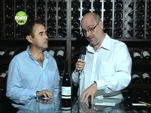 Entrevista com José Luís Pérez Agudo da vinícola espanhola Finca los Alijares - Bloco 2