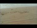 Team Bab: Greens Beach