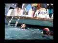 videos de Egypt07