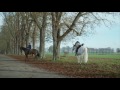 Extrait #3 (Saison 1 Épisode 1)