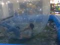 Desi boys in videsi mall