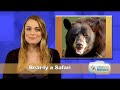 Funny Pet News #10 - Hooters for Neuters, Dick Van Dog
