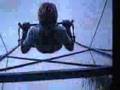 360 Adult swing.