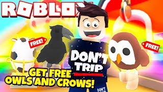 Roblox Adopt Me How To Get Honey For Free