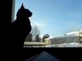 Birdhunting