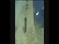 padi The salem express ship wreck