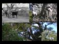 BUNBURY'S PAST