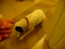 I shot my dog!!!!!!!!!! I shot my dog!!!!!!!!!!