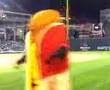 Indians-Mustard
