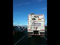 Raccoon on dumptruck