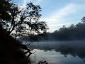 Morning On The Suwannee River In Florida