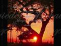 videos de Ich schließe ab mit Uns