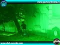 ninja best of