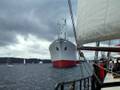 Kieler Woche 2008 Cap San Diego