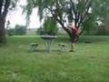 Urban Traceurs' Parkour