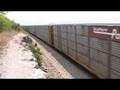 CSX 8546 Leads CSx Q237, Autorack, at Coffey's Cliff