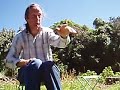 Harmony Farm - David Baillie