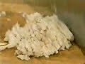 Martin Yan Can Cook Cutting