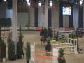 videos de Wandor van de Mispelaere te jumping Luik CSI¨****