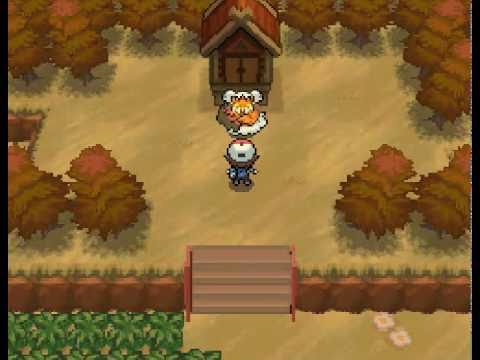how to find n pokemon white