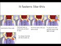 thomson fly safety video