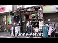 Bunny Velvet - 地域情報動画サイト　街ログ