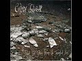 Cortney Tidwell - Eyes are at the Billions Cortney Tidwell - Eyes are at the Billions
