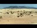 The Permian Desert