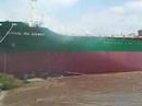 Chang An K?nay Launching Chang An K?nay Launching